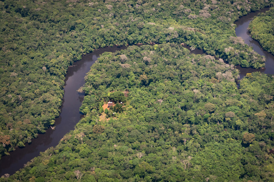 Cinco razones para no quemar el bosque