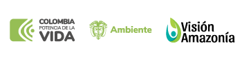 Logo Visión Amazonía