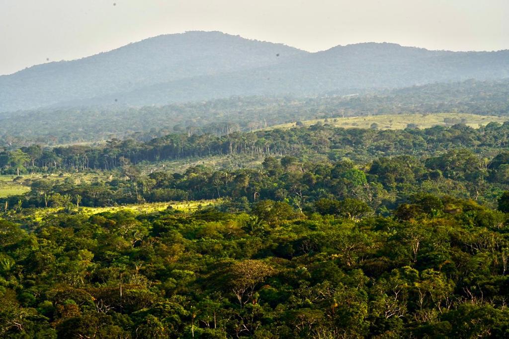 Una alianza para apoyar proyectos productivos sostenibles en la Amazonía