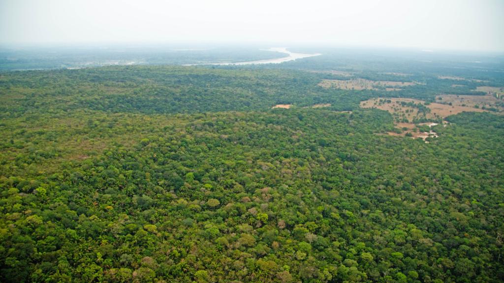 La huella de Visión Amazonía: un plan integral para la vida y el futuro del bosque