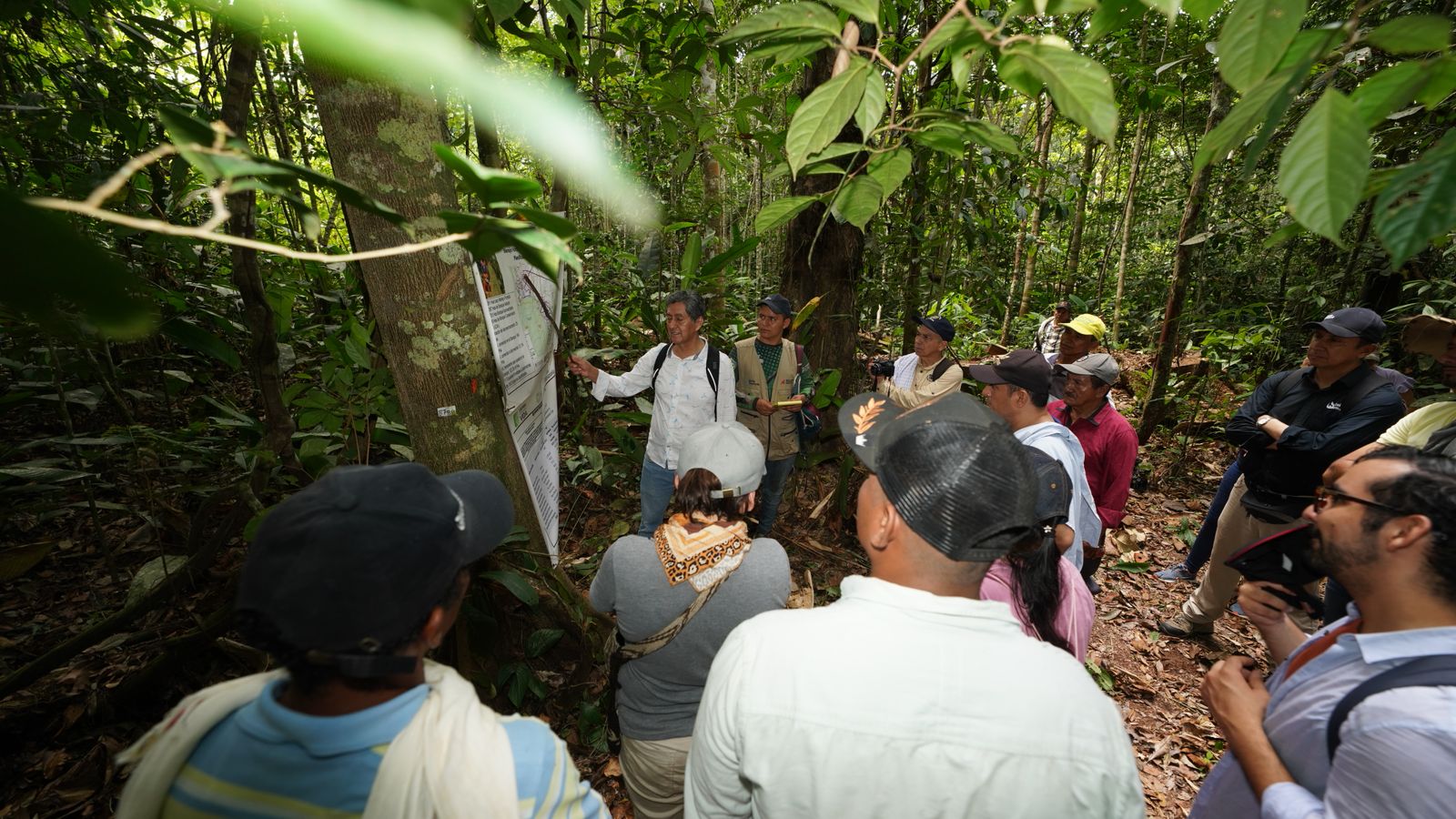Colombia inicia la formación de extensionistas forestales para proteger la Amazonía
